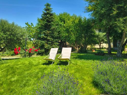 two white chairs sitting in the grass in a yard at Alba Morus in La Morra