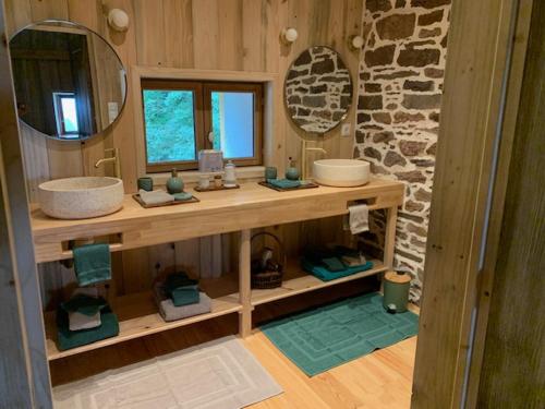 a bathroom with a sink and a mirror at Les Bouyeres in Saint-Malon-sur-Mel
