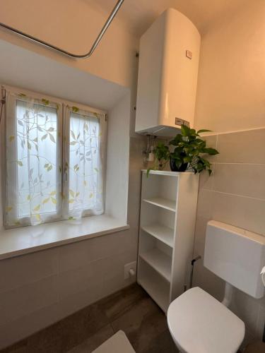 a bathroom with a toilet and a window at Ferienwohnung Stani in Leibnitz