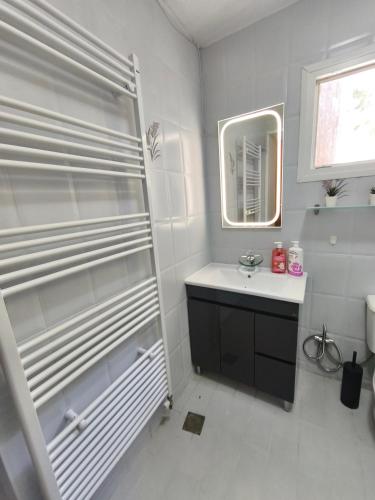 a bathroom with a shower and a sink and a mirror at Amelie's Stone House in Vathý