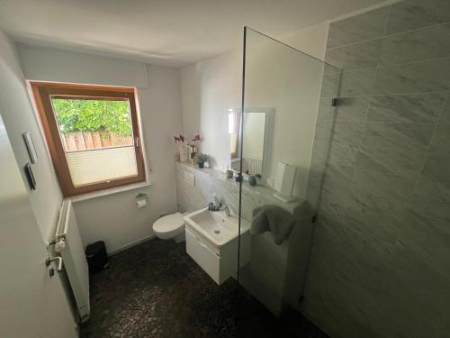 a bathroom with a shower and a toilet and a sink at Ahrweiler Seelchen in Bad Neuenahr-Ahrweiler