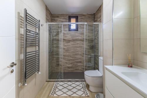 a bathroom with a shower with a toilet and a sink at Chalet Pinara in El Barraco