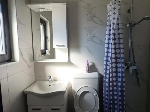 a bathroom with a toilet and a sink and a mirror at Prenociste Gradiska in Bosanska Gradiška