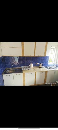 a kitchen with white cabinets and a sink at Mostar kuca pored jezera in Mostar