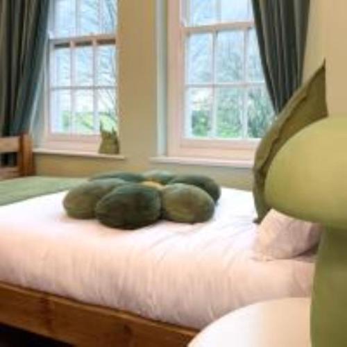 a bed with two pillows on it with two windows at Hilston Gate House in Skenfrith