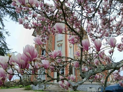 a flowering magnolia tree in front of a building at Villa du Sauzin in Cronat