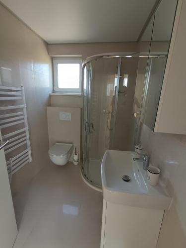 a bathroom with a shower and a sink and a toilet at Bianka & Blanka in Poľný Kesov