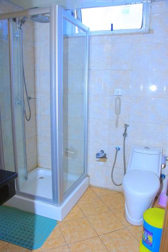 a bathroom with a shower and a white toilet at Burqito International Hotel in Āwasa
