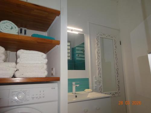 a bathroom with a washing machine and a sink at Le Jardin Secret in Le Vauclin