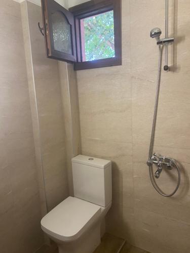 a small bathroom with a toilet and a window at Paparizou Apartments in Kokkino Nero