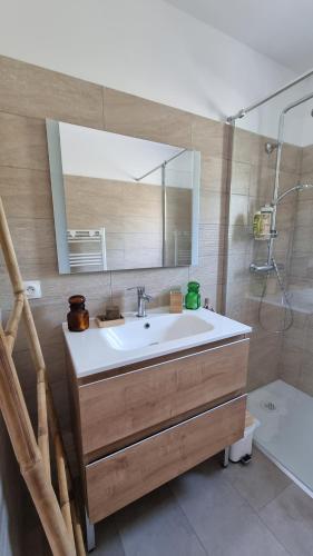 a bathroom with a sink and a mirror and a tub at Maison de Pierre in Septfonds