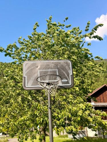 a basketball hoop in front of a tree at Whiteberg Apartment in Schruns