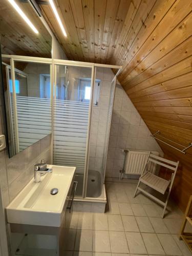 a bathroom with a sink and a shower at Jasmunder Boddenhuus 37 in Glowe