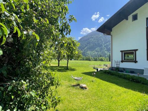a yard of a house with a tree at Whiteberg Apartment in Schruns