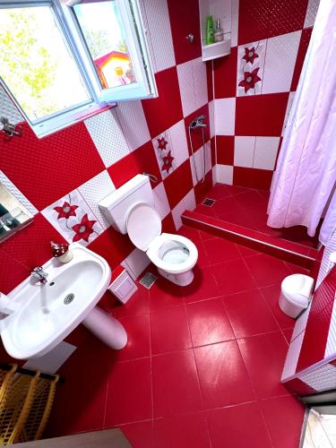 a red bathroom with a toilet and a sink at Casa Denisa in Sulina