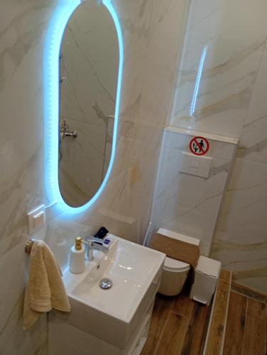 Elegant Apartment 1