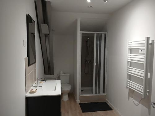 a bathroom with a toilet and a sink and a shower at La Grange Landaise in Laglorieuse