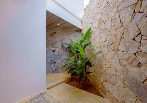 a stone wall in a hallway with a plant at Cavendish Polhena in Matara