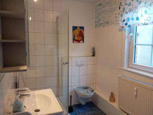 a small bathroom with a toilet and a sink at Zwischen Acker und Herz Hartmannshof in Algermissen