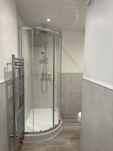 a shower stall in a bathroom with a toilet at Beautiful Spacious Flat in Oxford