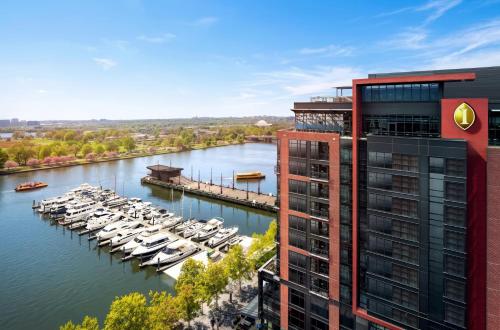 a rendering of a marina with boats in the water at InterContinental - Washington D.C. - The Wharf by IHG in Washington, D.C.