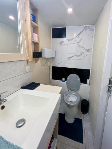 a small bathroom with a toilet and a sink at Le Petit Farfadet in Flangebouche