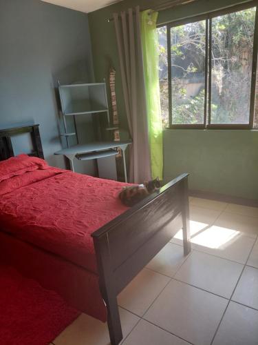 a cat laying on a bed in a room with a window at San Remo 1 in San Pedro