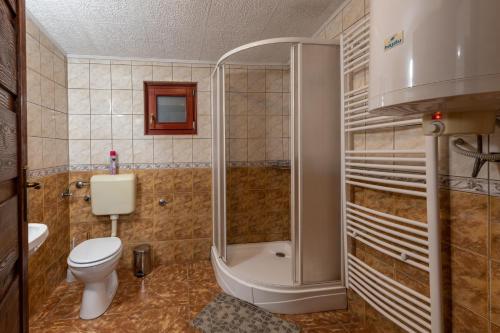 a bathroom with a toilet and a shower and a sink at Hege Vendégház in Bükkmogyorósd