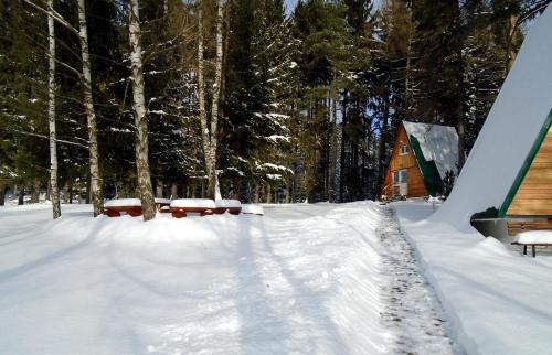 a snow covered yard with a cabin in the woods at Chatky Sázava in Sázava
