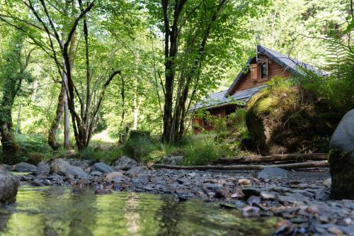 a cabin in the woods next to a stream at Chalet du Lacus in Boutx