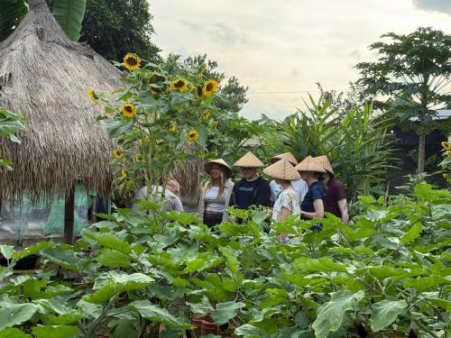 a group of people standing in a field of sunflowers at Daphne Homestay & Cooking Class in Senggigi