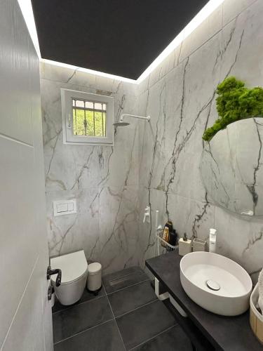 a bathroom with a white toilet and a sink at 26 Villa Katerina, Elani in Elani