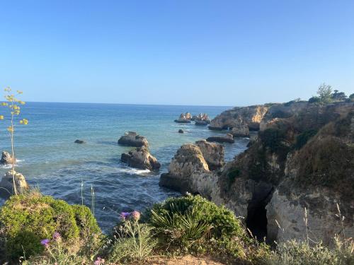 Cozy Apartment, 5 Min to Praia da Rocha, Algarve