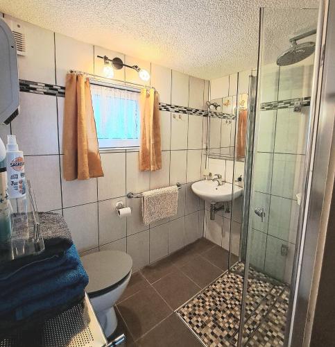 a bathroom with a shower and a toilet and a sink at Ferienhaus Roseneck Bad Tabarz in Tabarz