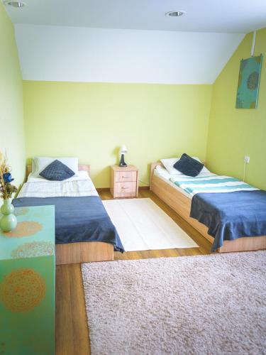 two beds in a room with two rugs at Zöldspalettás in Monor