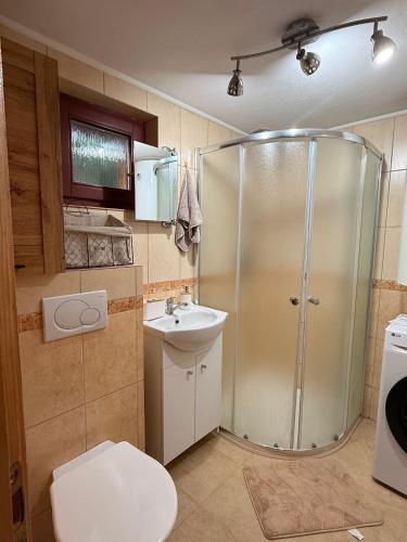 a bathroom with a shower and a toilet and a sink at Domček u Fera in Zázrivá