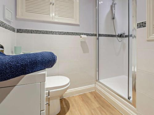 a bathroom with a toilet and a shower at 3 Bed in Bala oc-52810 in Llanuwchllyn
