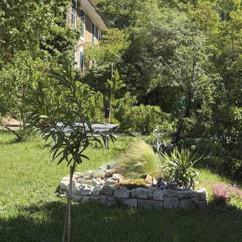Studio Jardin