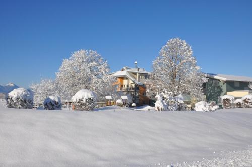 a house with snow covered trees and a driveway at Karglhof Stammhaus in Faak am See