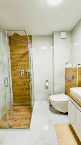 a bathroom with a shower and a toilet and a sink at Apartman Romanija Wellness & Spa in Potoci