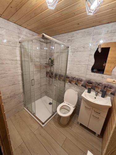 a bathroom with a shower and a toilet and a sink at Domek Letniskowy in Iława