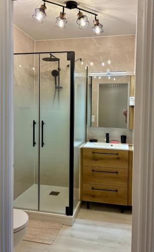 a bathroom with a shower and a toilet and a sink at Studio cosy avec terrasse, vue mer in Quiberon