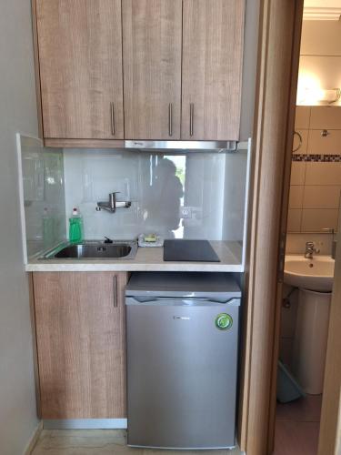 a small kitchen with a sink and a dishwasher at George Studios in Vasiliki