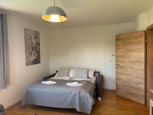 a bedroom with a bed and a wooden door at Ferienwohnung Königsberg in Tieschen