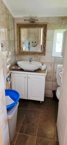 a bathroom with a sink and a mirror and a toilet at Seosko domacinstvo Gardic in Užice