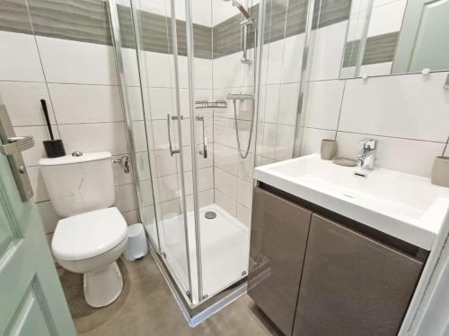 a bathroom with a shower and a toilet and a sink at La coulée verte - superbe duplex climatisé - jardin - classé 3 étoiles in Luchon