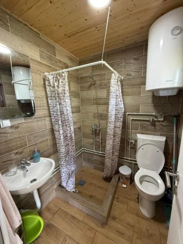 a bathroom with a toilet and a sink at Bungalovi 3AS in Žabljak