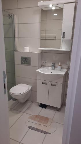 a bathroom with a sink and a toilet and a mirror at Apartman Sanja Ledine in Ledine
