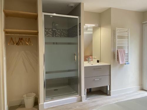 a bathroom with a shower and a sink at Maison Joviale in La Ferté-Saint-Aubin