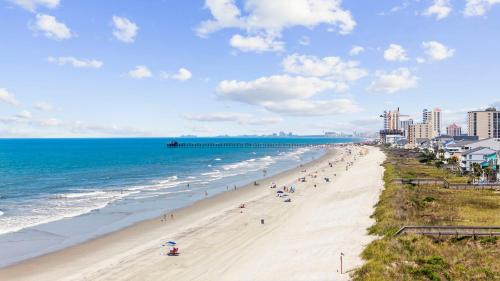 The Beach Is Back photo 70